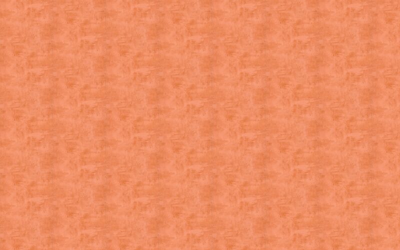 Papier peint intissé BARKLEY coloris terracotta