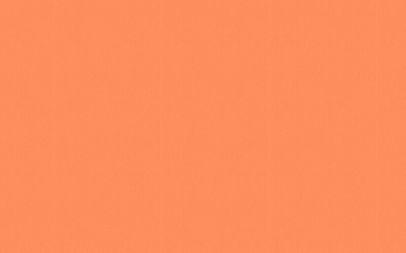 Papier peint intissé CALICO coloris terracotta