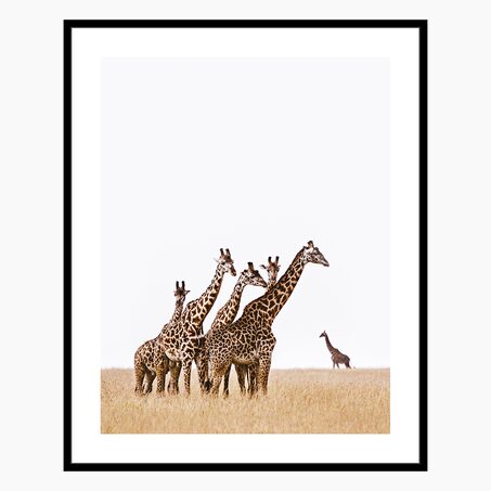 4MURS Tableau ZARAFA coloris noir