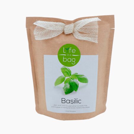 LIFE IN A BAG Plante BASILIC coloris papier kraft