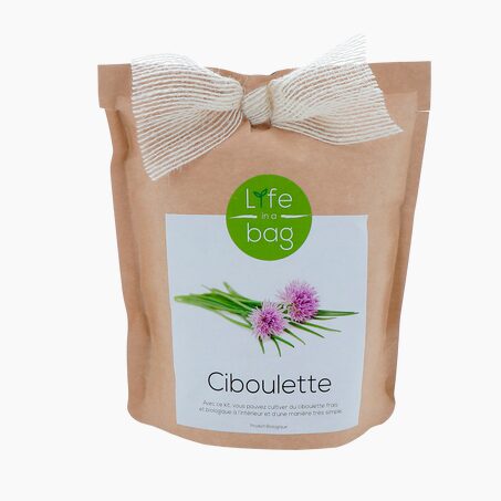 LIFE IN A BAG Plante CIBOULETTE coloris papier kraft