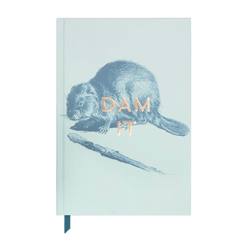 Carnet DAM IT coloris bleu