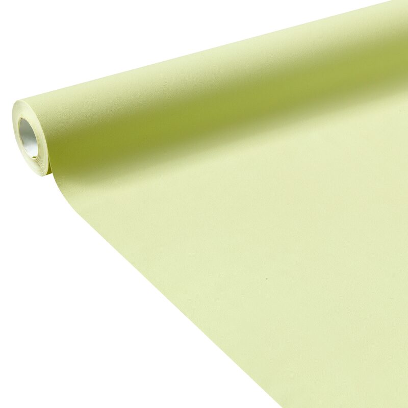 Papier peint intissé ENJOY coloris vert pistache
