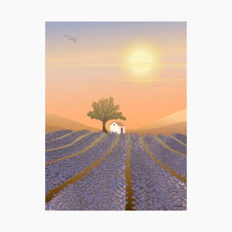 Vissevasse Affiche LAVENDER FIELD 30 x 40 cm