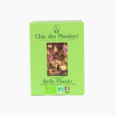 Chic des plantes Tisane BELLE PLANTE