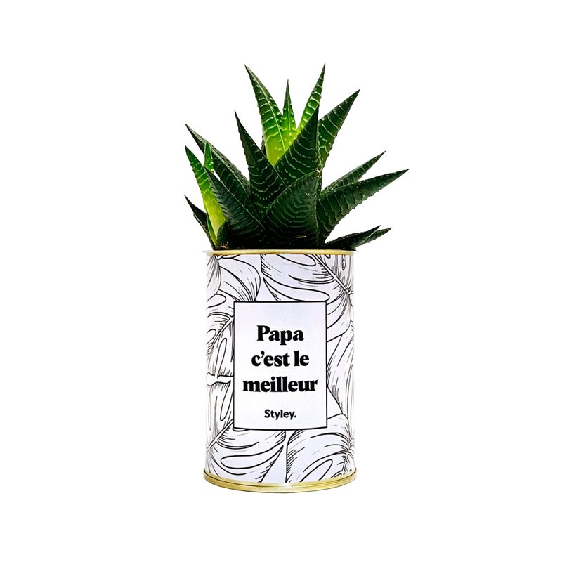 Plante PAPA C'EST LE MEILLEUR coloris blanc