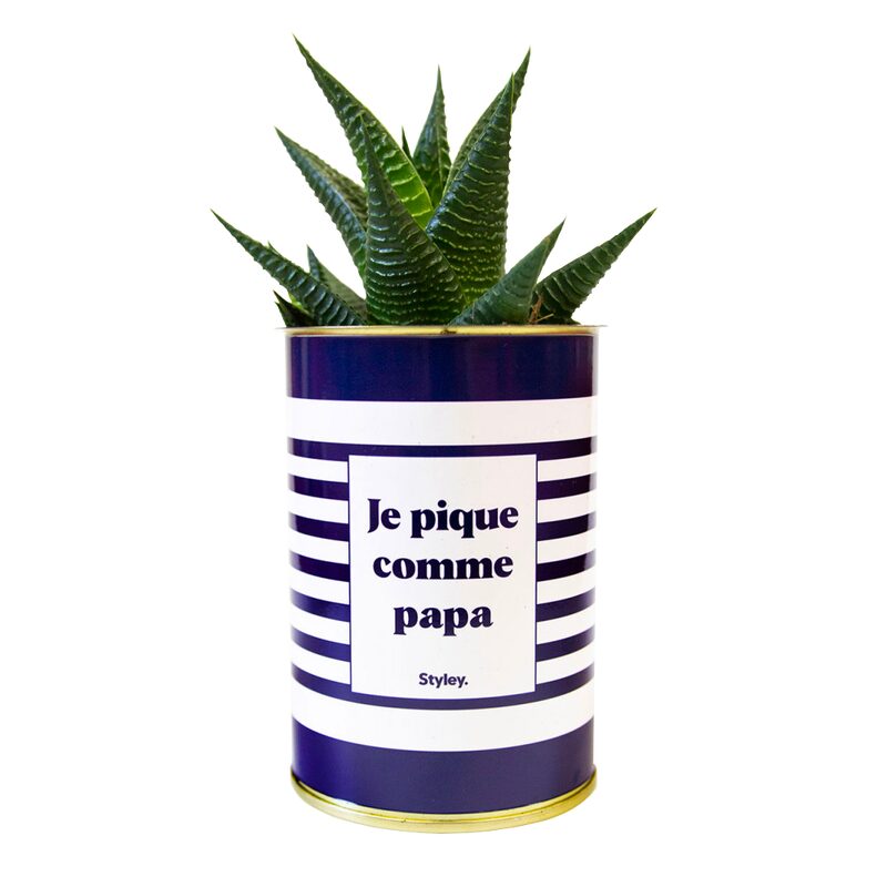 Plante JE PIQUE COMME PAPA coloris bleu