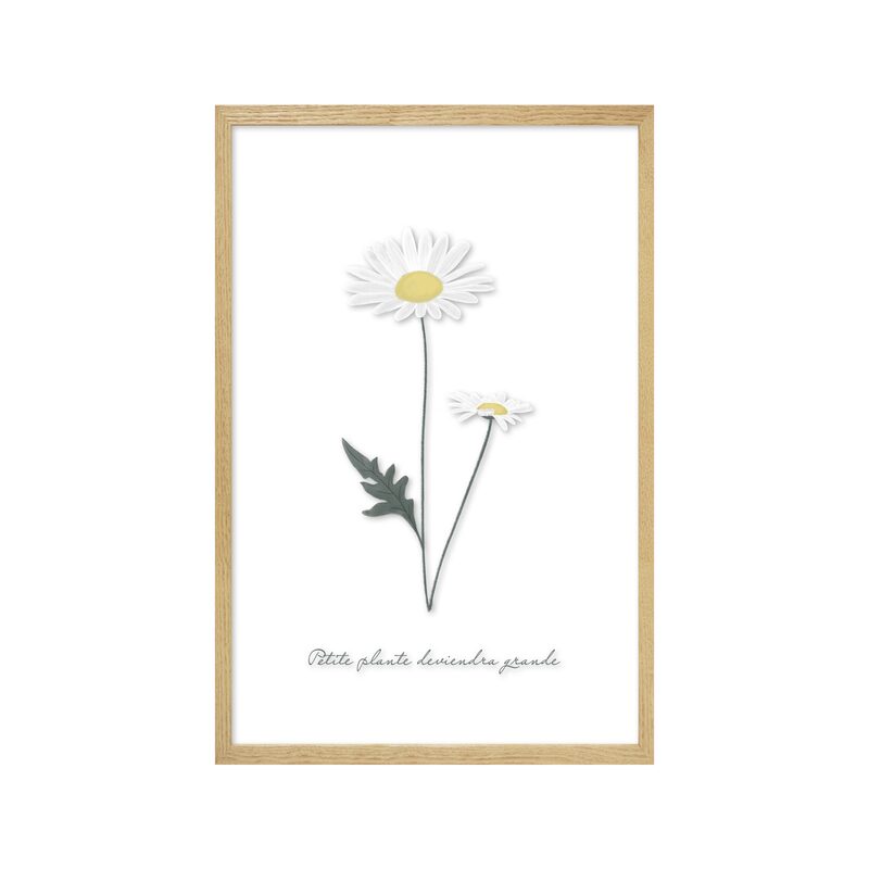 Image sous verre DOUCE CAMPAGNE MARGUERITE 20 x 30 cm