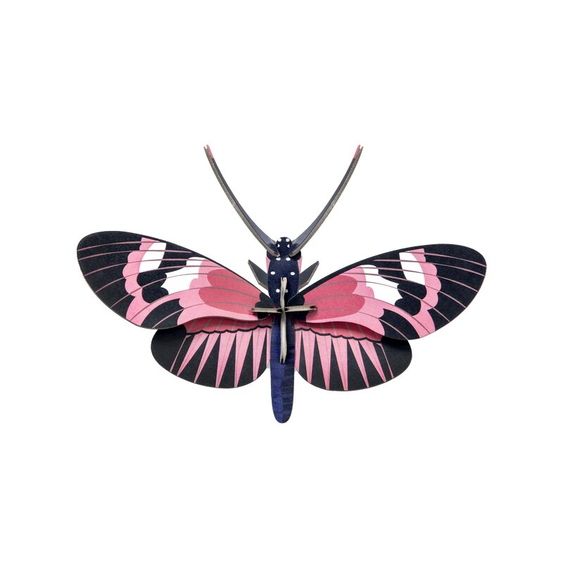 Studio ROOF Kit LONGWING