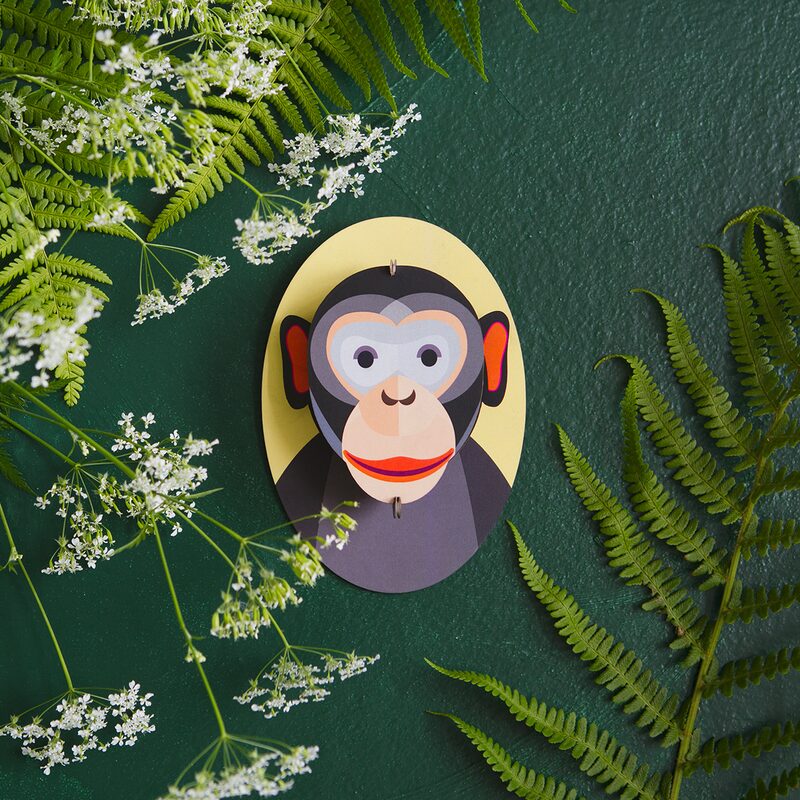 Studio ROOF Kit MONKEY