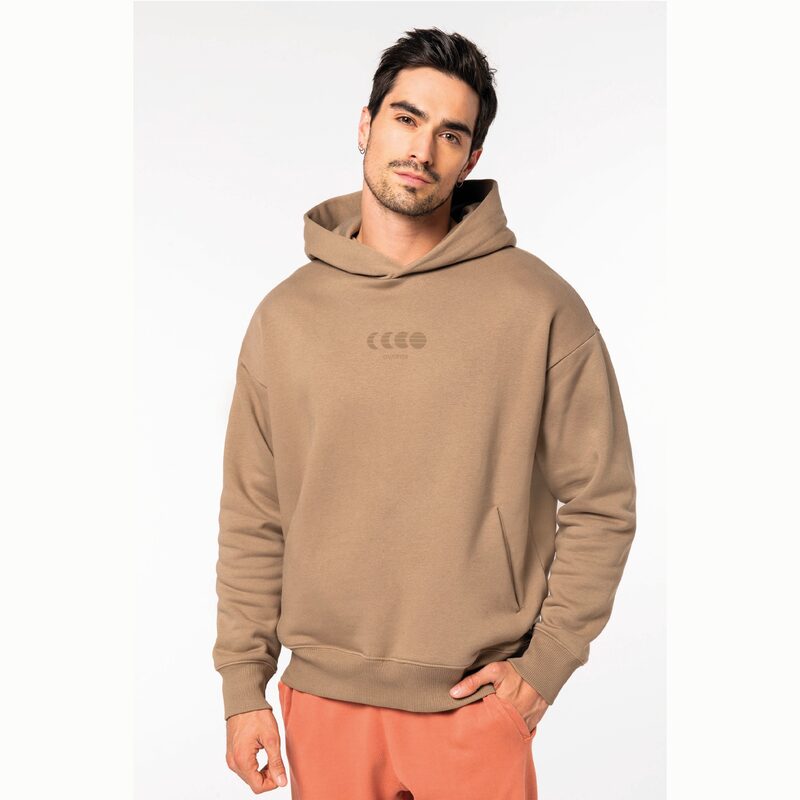 Pull capuche ECLIPSE L coloris marron