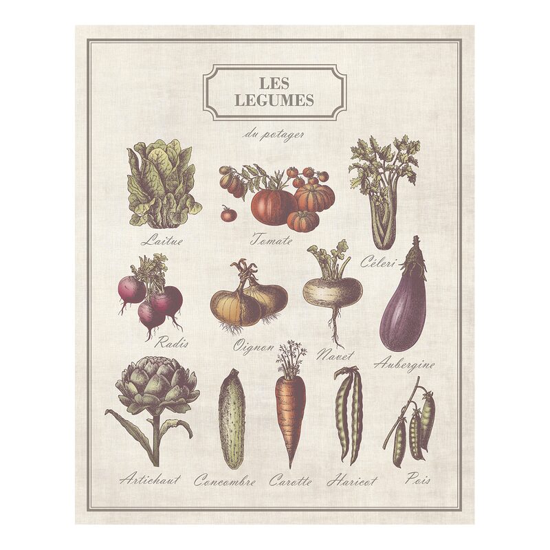 Toile imprimée LÉGUMES DU POTAGER 40 x 50 cm