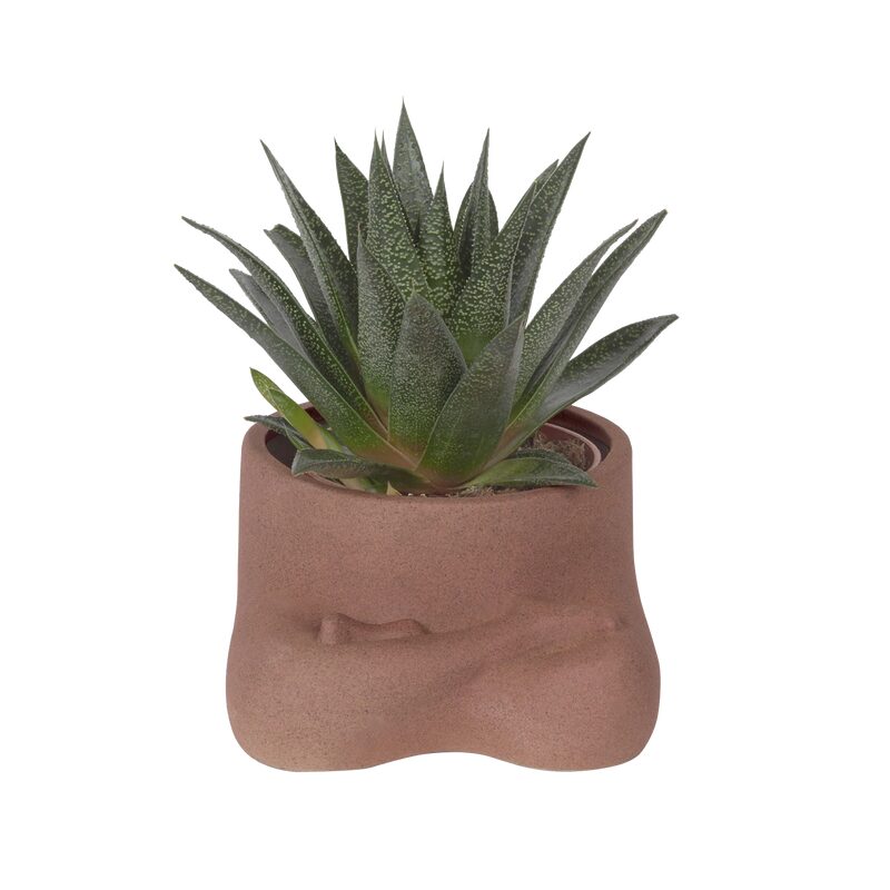 Cache-pot NAMASTE coloris brun