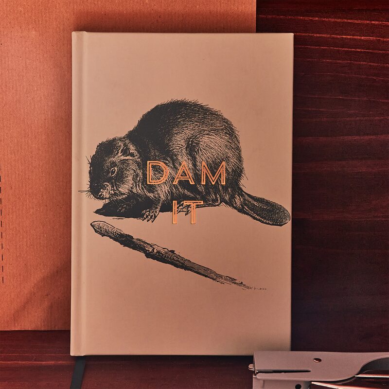 Carnet DAM IT coloris bleu