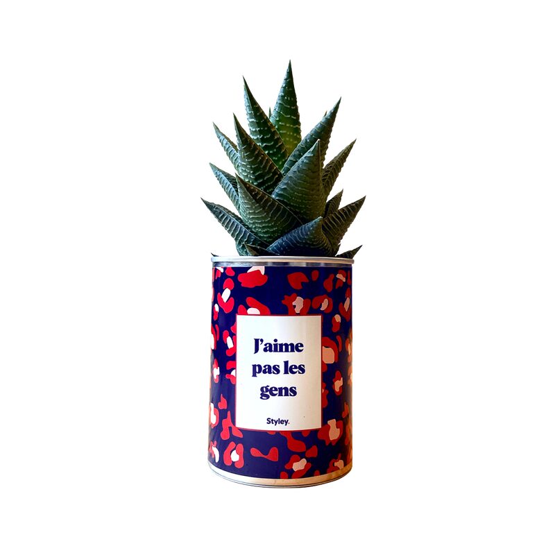Plante J'AIME PAS LES GENS coloris bleu