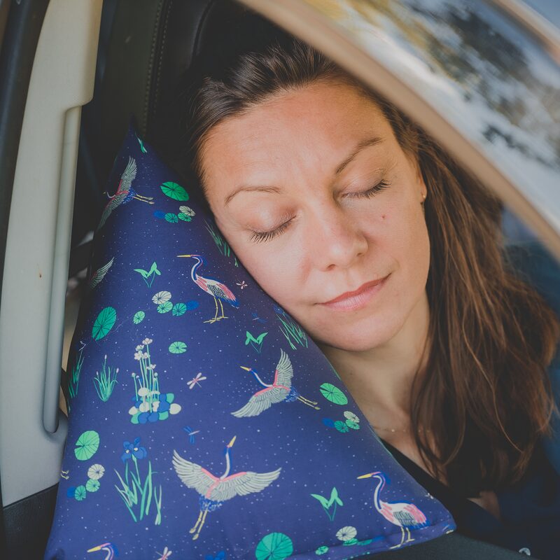 Coussin de voyage BAIKAL coloris bleu