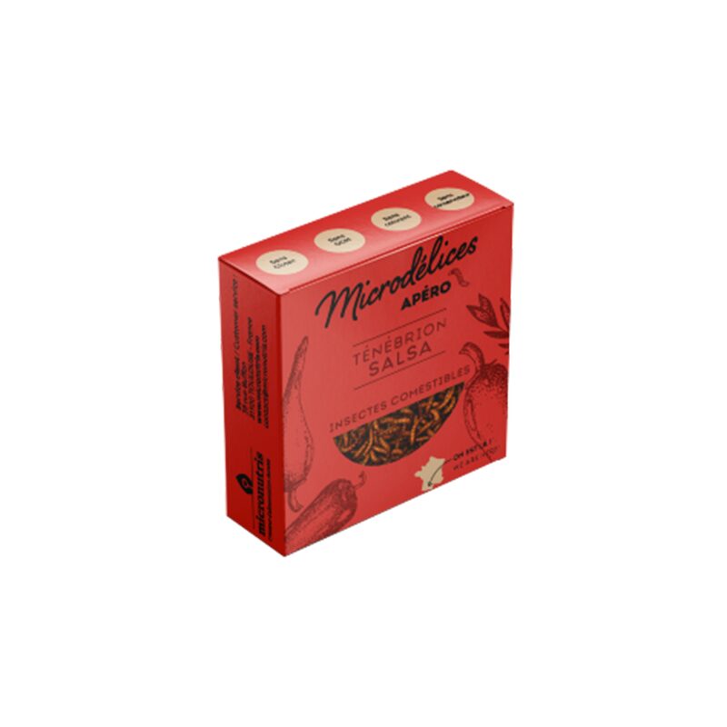 Insectes TENEBRIONS SALSA