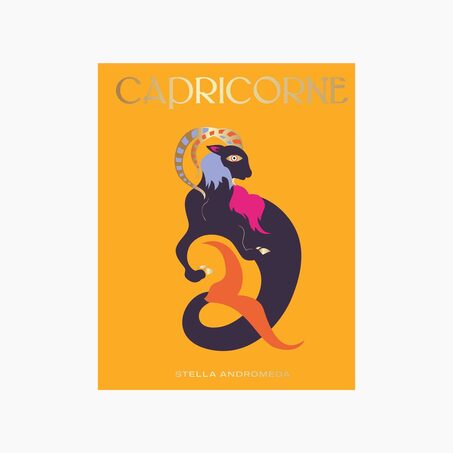 Hachette Pratique Livre bien-être CAPRICORNE