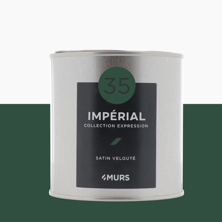 Expression Peinture Peinture Impérial Satiné 0,5 L