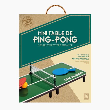 Jeux TABLE DE PING PONG