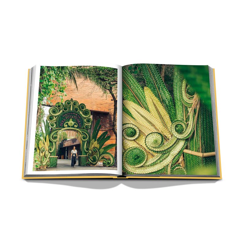 Livre voyage et nature BALI MYSTIQUE