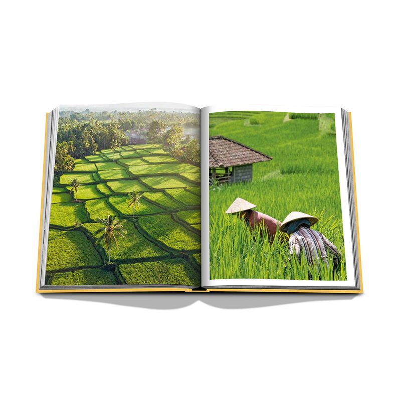 Livre voyage et nature BALI MYSTIQUE