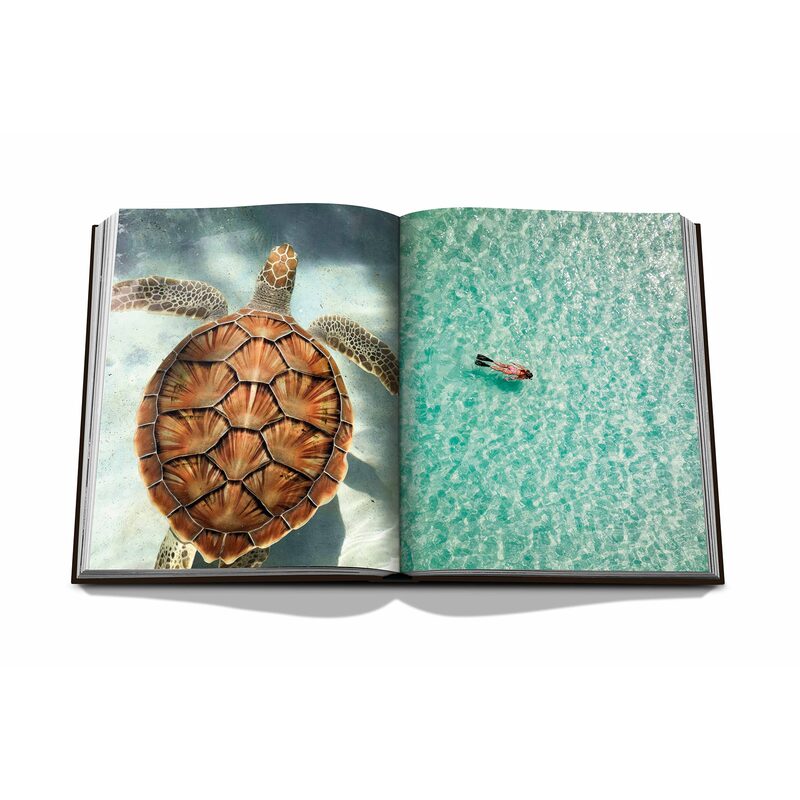 Livre voyage et nature JAMAICA VIBES
