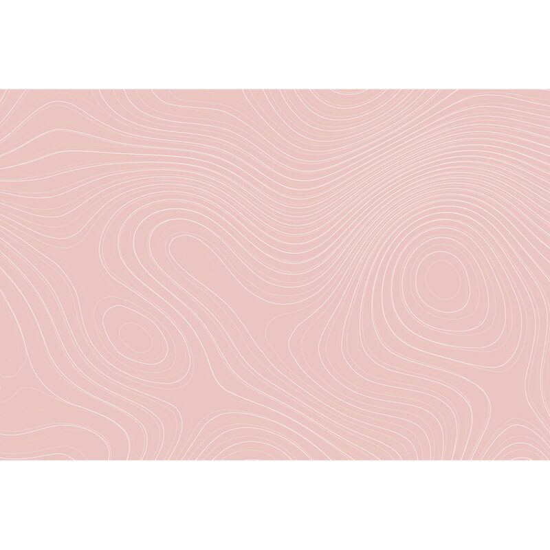 Papier peint panoramique XL ZENNA 400 x 270 cm rose poudré