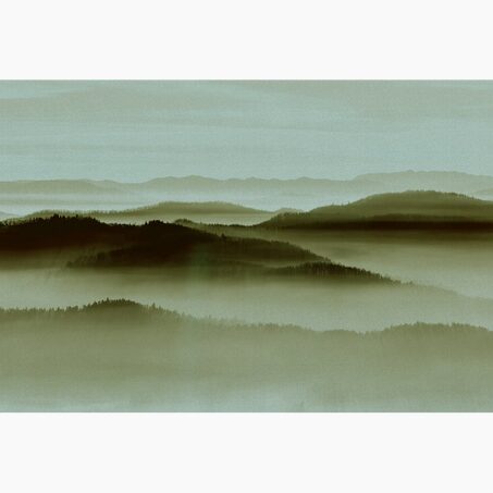 Papier peint panoramique XL DENALI 400 x 270 cm vert olive
