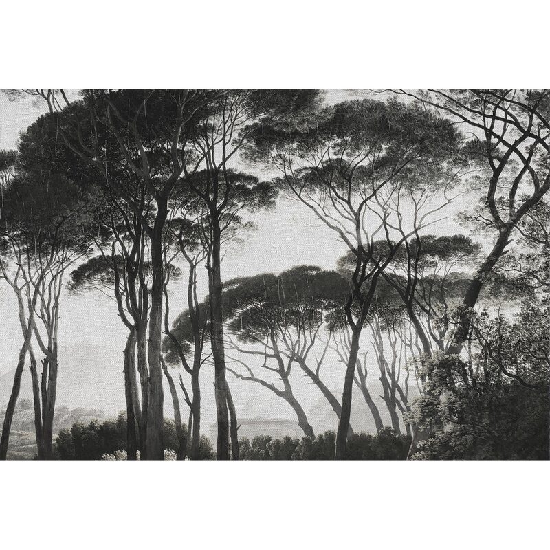 Papier peint panoramique XL BOSQUET 400 x 270 cm anthracite
