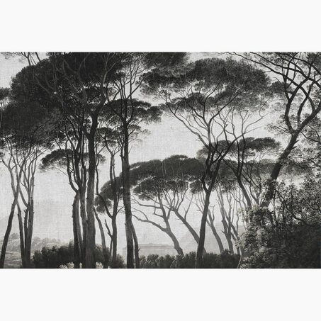 Papier peint panoramique XL BOSQUET 400 x 270 cm anthracite