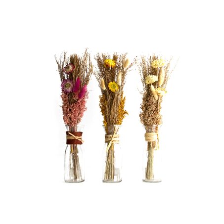 Fleurs séchées ARRANGMENT IN BOTTLE DRIED FLOWERS Ø6X40CM C/3 Jaune / Rouge