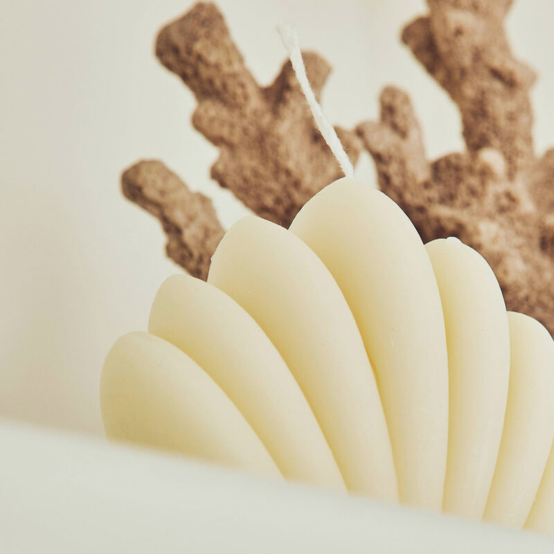 Bougie SHELL coloris beige