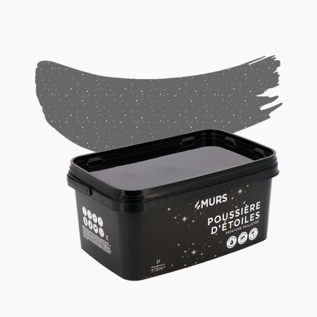 Poussière d'étoiles Peinture Peinture gris Canopus 2 L