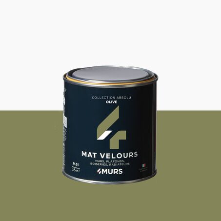 Absolu Peinture Peinture olive Mat 0,5 L