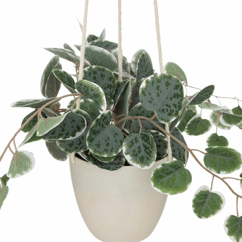 Plante artificielle CEROPEGIA coloris vert