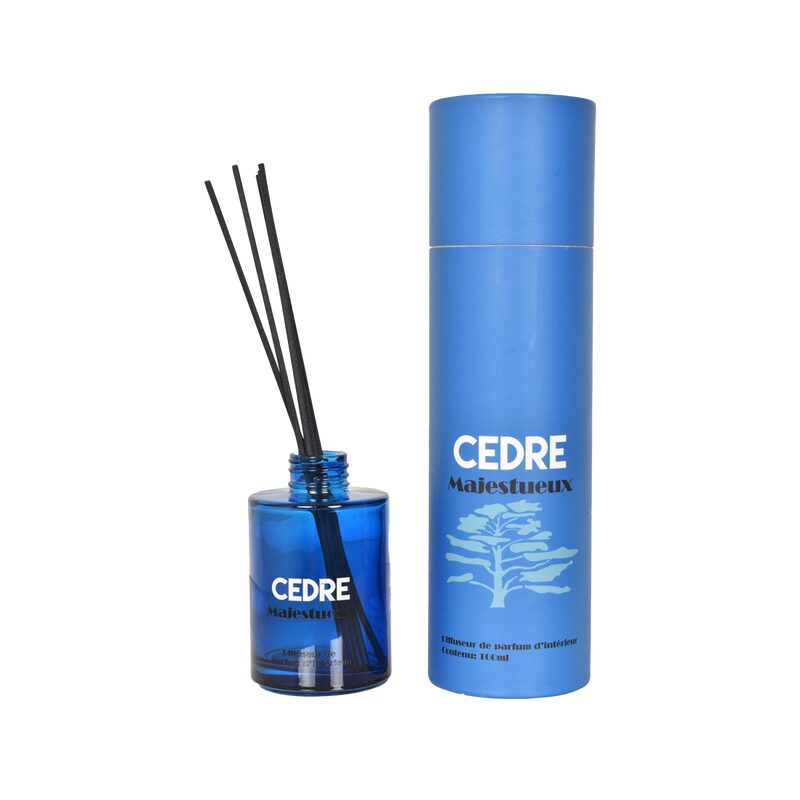 Diffuseur ARTY coloris bleu