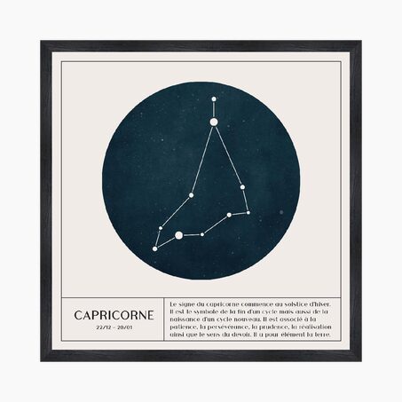 4MURS Tableau CAPRICORNE coloris blanc