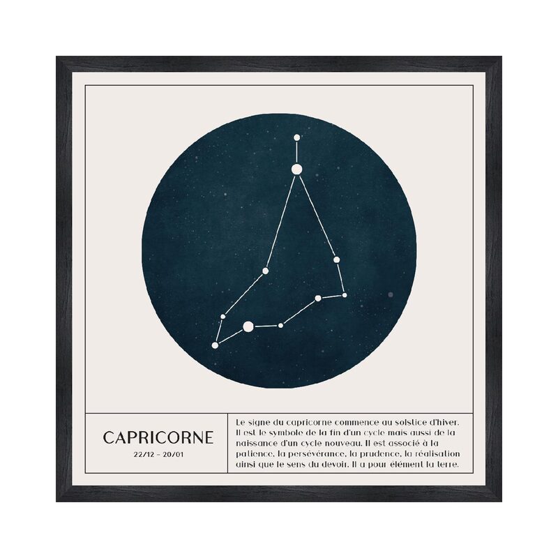 Tableau CAPRICORNE coloris blanc