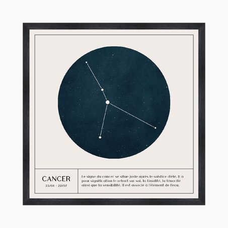 4MURS Tableau CANCER coloris blanc