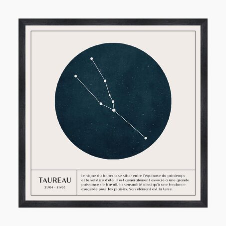 4MURS Tableau TAUREAU coloris blanc