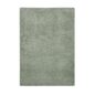 vert de gris