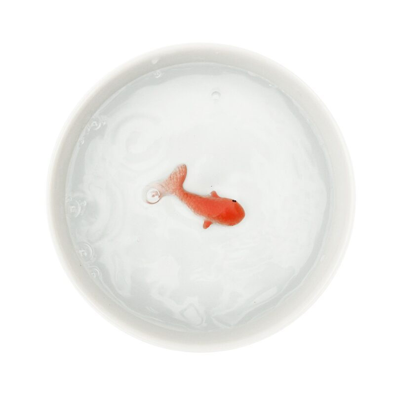Accessoire animaux BOL POISSON coloris blanc
