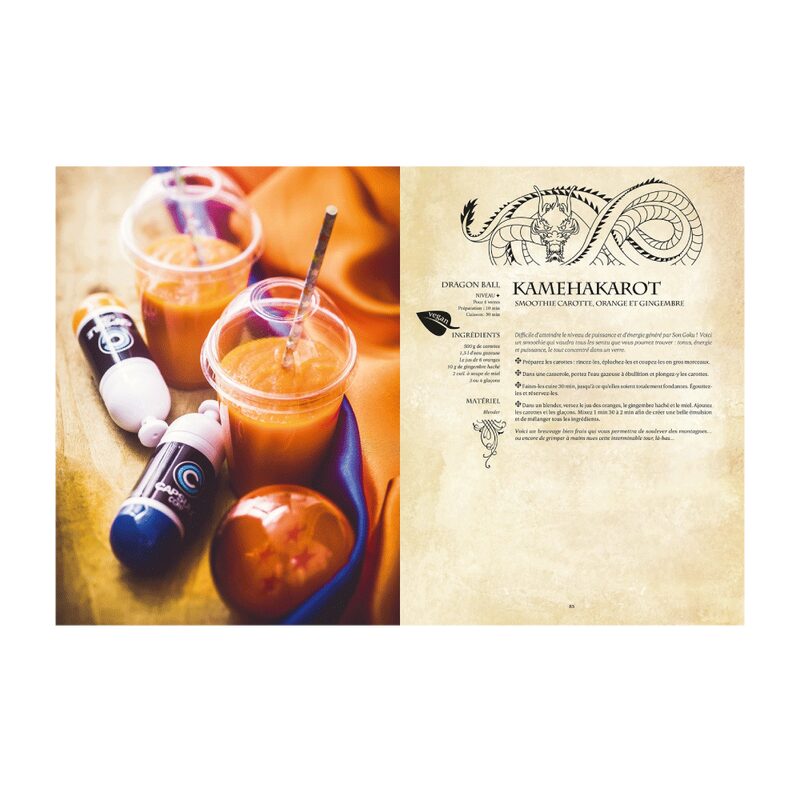 Livre adolescent GASTRONOGEEK RECETTES VÉGÉTARIENNES