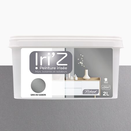 Richard Peinture IRIZ Peinture gris du Gabon Brillant 2 L
