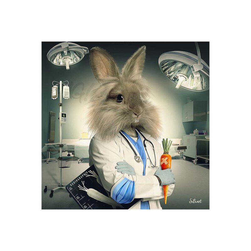 Tableau BINET LAPIN INFIRMIER coloris noir