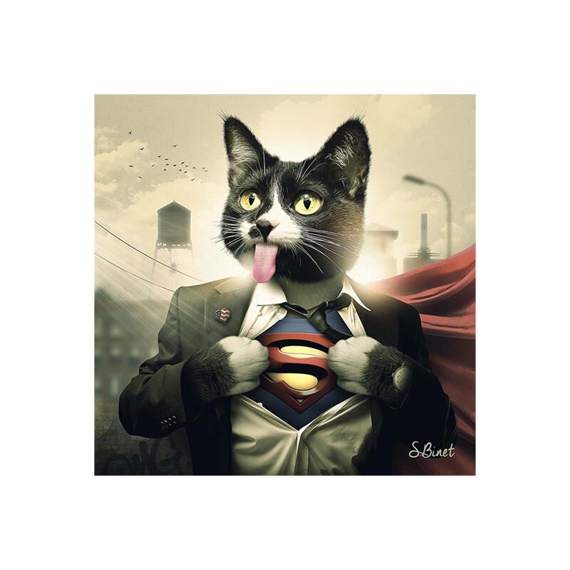 Tableau BINET SUPERCAT coloris noir