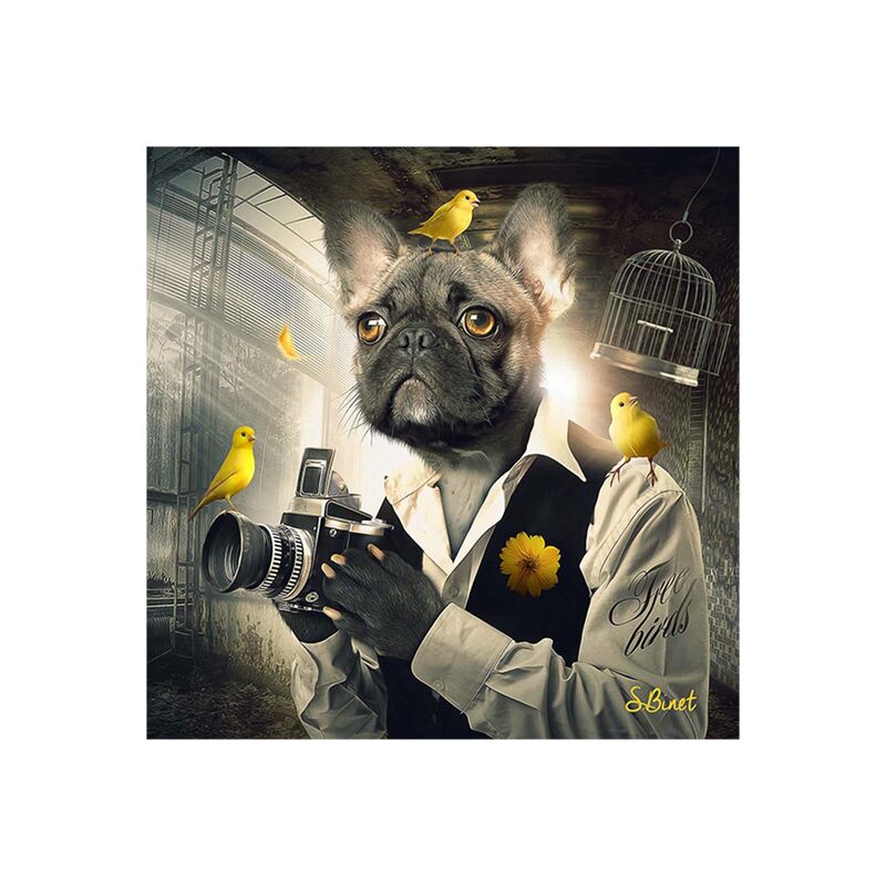 Tableau BINET CHIEN PHOTO coloris noir