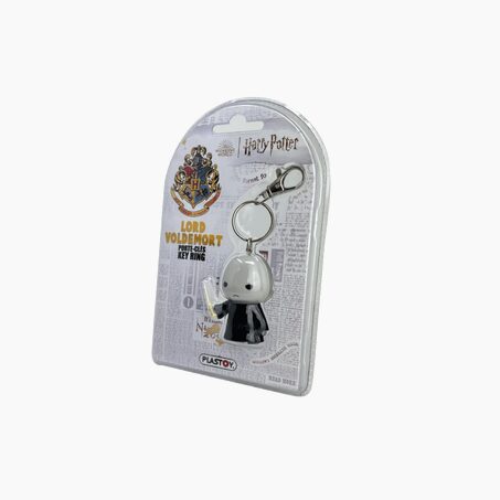 Porte clef LORD VOLDEMORT coloris multicolore