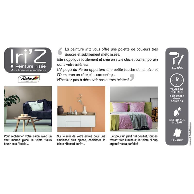 Peinture IRIZ Acrylique gris du Gabon Brillant 2 L